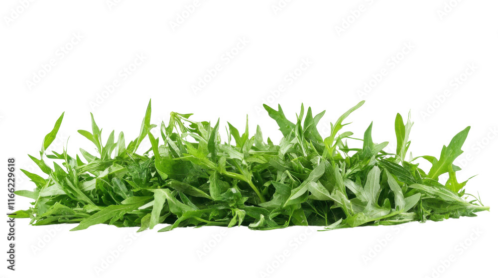 Freshly cut green herbs transparent background Freshly cut green herbs transparent background