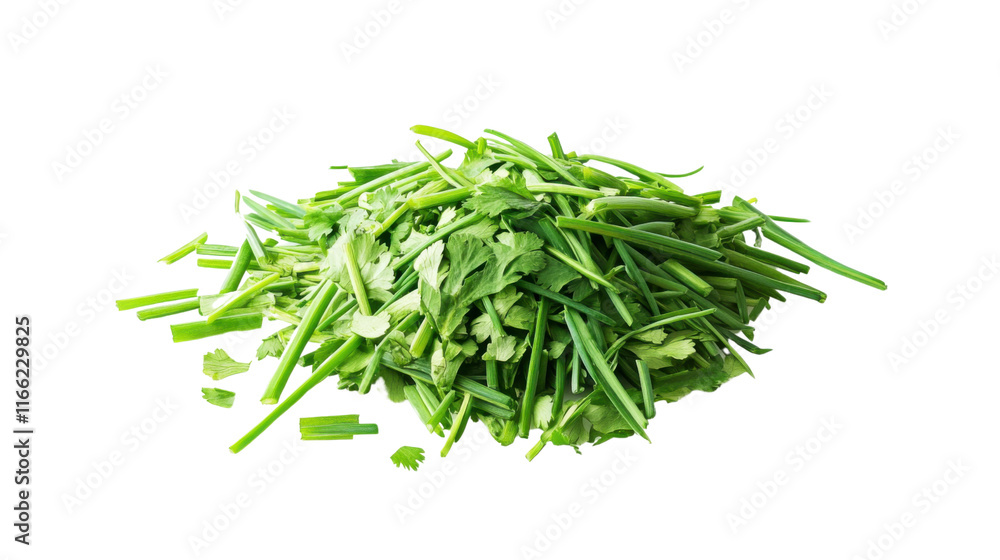 Freshly cut green herbs transparent background Freshly cut green herbs transparent background