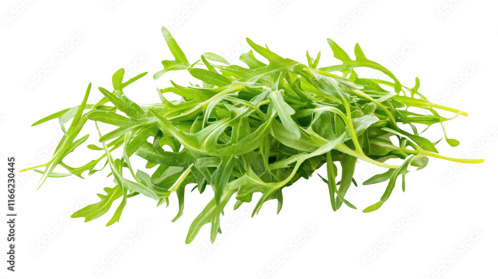 Freshly cut green herbs transparent background Freshly cut green herbs transparent background