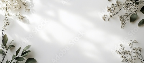 Elegant Floral Flat Lay: White Flowers and Green Leaves on White Background with Sunlight Shadows