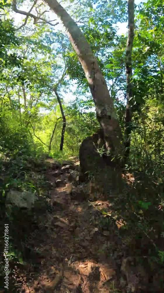 Time lapse caminhando por trilha na cidade de Alto Paraiso de Goiás, região da Chapada dos Veadeiros, Estado de Goiás, Brasil Time lapse caminhando por trilha na cidade de Alto Paraiso de Goiás, região da Chapada dos Veadeiros, Estado de Goiás, Brasil