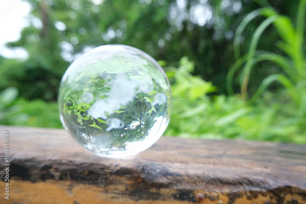 Crystal Clear Glass Sphere Reflecting Vibrant Greenery on Rustic Wooden Surface Crystal Clear Glass Sphere Reflecting Vibrant Greenery on Rustic Wooden Surface