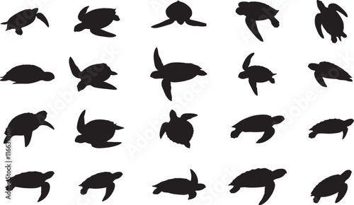 Leatherback Turtle Silhouette for Ocean and Wildlife Designs