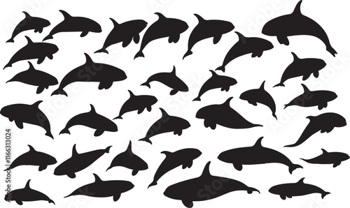 Orca Silhouettes Collection
