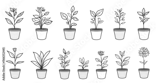 Minimalistic Black and White Line Art Illustration of a Plant in a Flowerpot for Logo, Icon, Floral Pattern and Branding Design Vector Set Collection Botanical Design