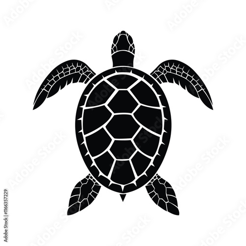 Turle +tortoise Selotte vector design
