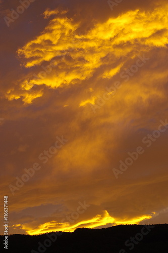 黄金の雲1  K3DP1436