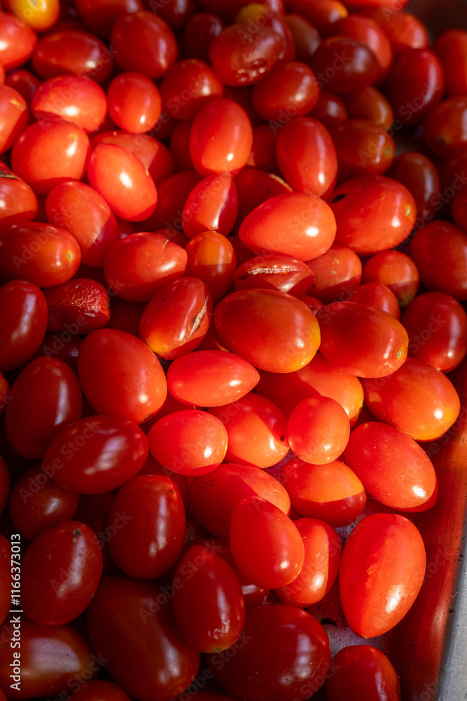 Tomatoes pile background with sunlight Tomatoes pile background with sunlight