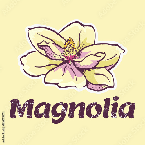 magnolia flower hand drawn vintage