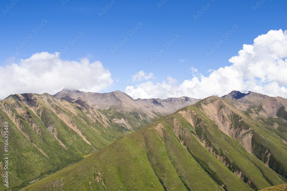 Naklejka premium landscape with sky