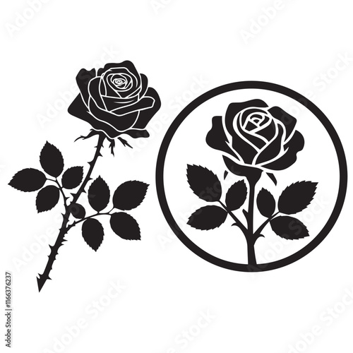 Rose Vector Illustration