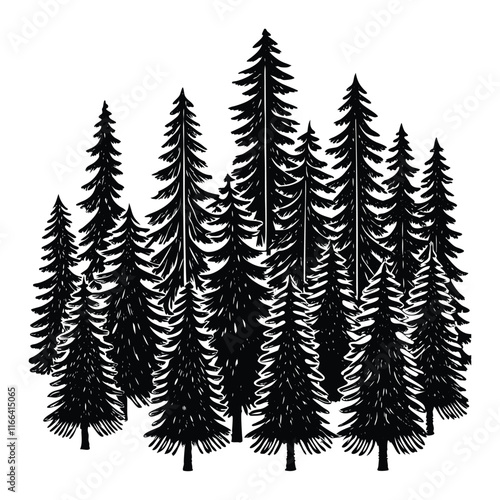 A dense grouping of black coniferous tree silhouettes with varied heights, featuring sharp, triangular shapes.