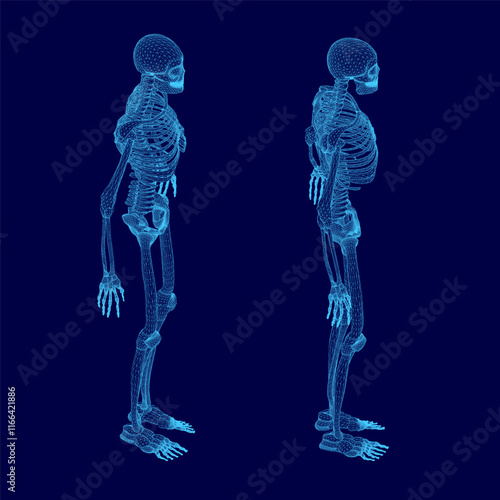 Two skeletons are shown in blue, one standing and the other sitting. The blue color gives a sense of depth and dimension to the skeletons, making them appear more lifelike. Scene is somewhat eerie