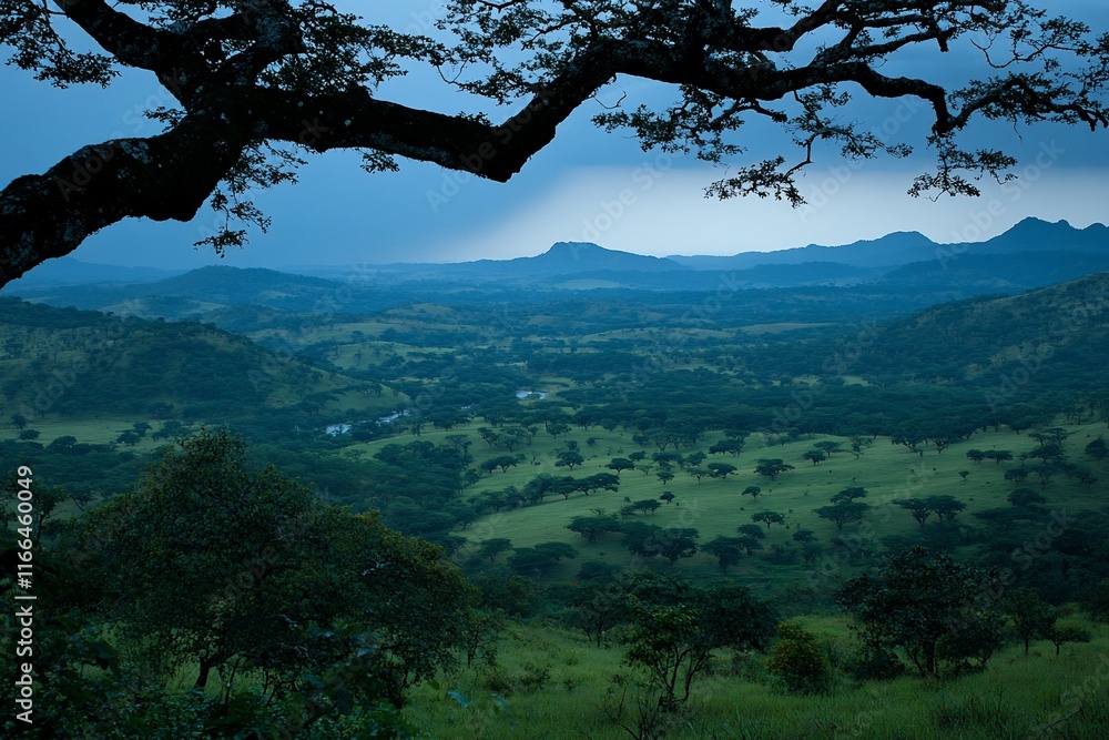 Misty valley landscape at dusk viewed from hilltop beneath tree branch Misty valley landscape at dusk viewed from hilltop beneath tree branch
