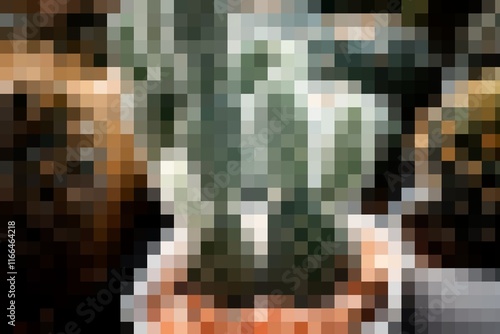 A close up of a plant in a pot. The image is pixelated and blurry. The plant is green and he is a cactus