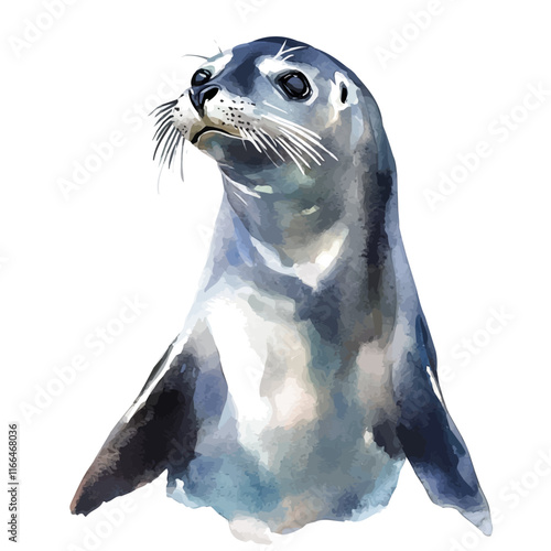 A watercolor vector painting of a sea lion, isolated on a white background. Sea lion vector.

