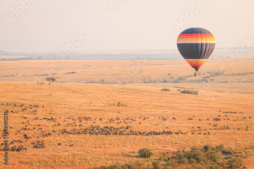 The Great WildeBeest Migration from the Hot Air Balloon Maasai Mara, Kenya: Against the backdrop of a vast blue sky, a hot air balloon floats serenely over the sprawling grasslands, capturing the esse