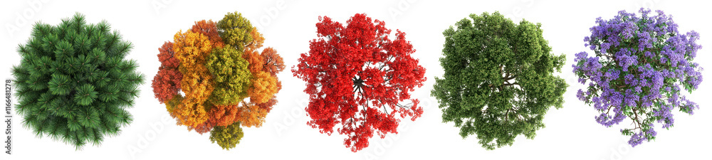 PNG Colorful tree top views, element set on transparent background PNG Colorful tree top views, element set on transparent background