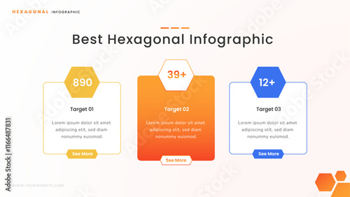 Hexagonal Infographic for Business and Startup