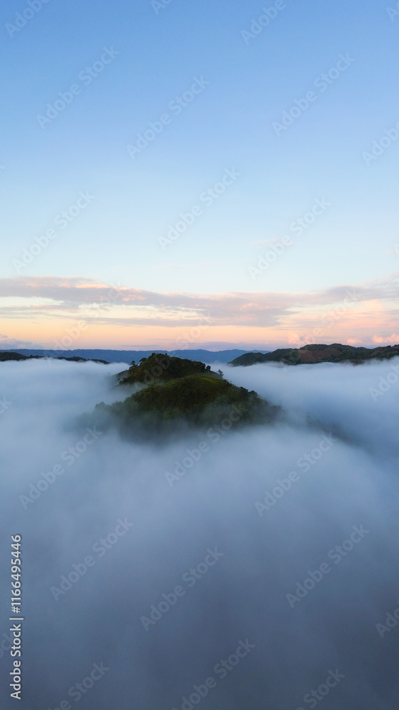 Landscape of mountain with fog in morning at Bogani Nani Wartabone National Park, Gorontalo, Indonesia Landscape of mountain with fog in morning at Bogani Nani Wartabone National Park, Gorontalo, Indonesia