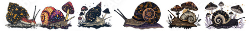 Whimsigoth snail png cut out element set, transparent background photo