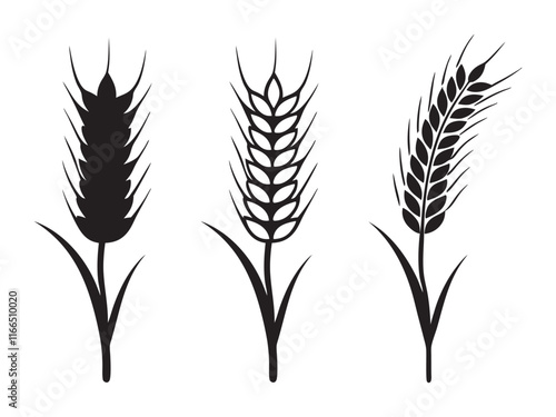 Ear of Wheat, Barley or Rye. Vector icon isolated on white background