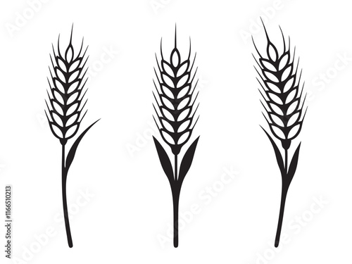 Ear of Wheat, Barley or Rye. Vector icon isolated on white background