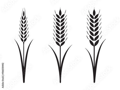 Ear of Wheat, Barley or Rye. Vector icon isolated on white background