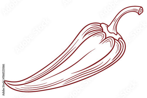 Chili Pepper Line Art Vector – Elegant and Modern Illustration
