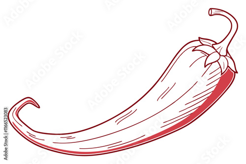 Chili Pepper Line Art Vector – Elegant and Modern Illustration
