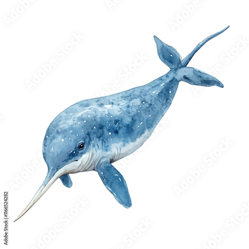 A watercolor vector painting of a narwhal, isolated on a white background. Narwhal vector.

