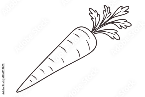 Minimalist Carrot Vector Clean Line Drawing