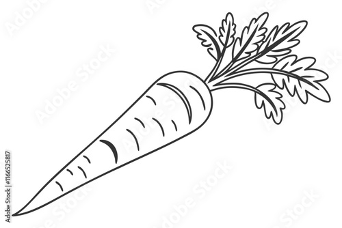 Minimalist Carrot Vector Clean Line Drawing