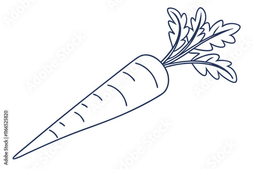 Minimalist Carrot Vector Clean Line Drawing