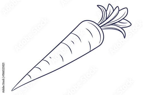 Minimalist Carrot Vector Clean Line Drawing