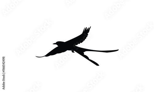 Flying Scissor Tailed Flycatcher  Bird Silhouette Design  And Vector Illustration. 