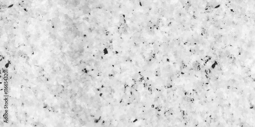 Terrazzo flooring consists of chips of marble and grunge wall texture. quartz surface black, white for bathroom or kitchen countertop. white paper texture. rock stone marble backdrop illustration.