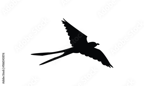 Flying Scissor Tailed Flycatcher  Bird Silhouette Design  And Vector Illustration. 