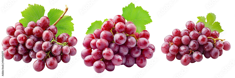 Fototapeta premium A Set of Fresh Red Grapes in a Cluster with Natural Details Isolated on Transparent Background