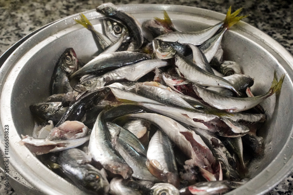 washed and cleaned horse mackerel fish are kept in a metal pan to be cooked close up washed and cleaned horse mackerel fish are kept in a metal pan to be cooked close up