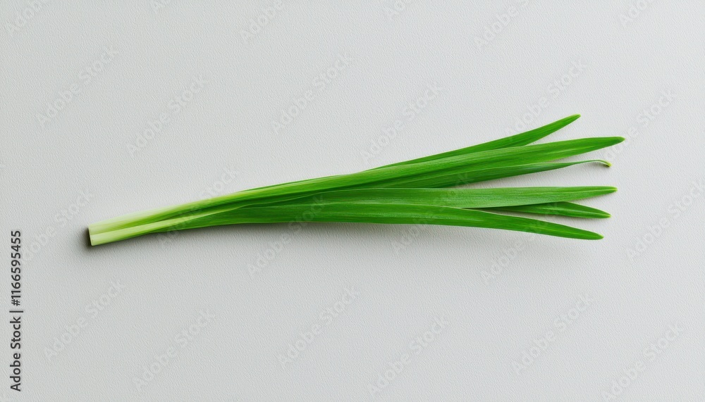 A fresh green onion lays flat against a light background, showcasing its vibrant color and slender shape. A fresh green onion lays flat against a light background, showcasing its vibrant color and slender shape.