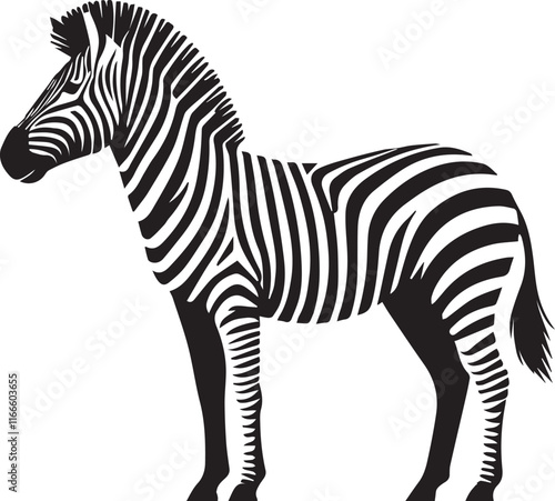 Zebra Vector Illustration black and white