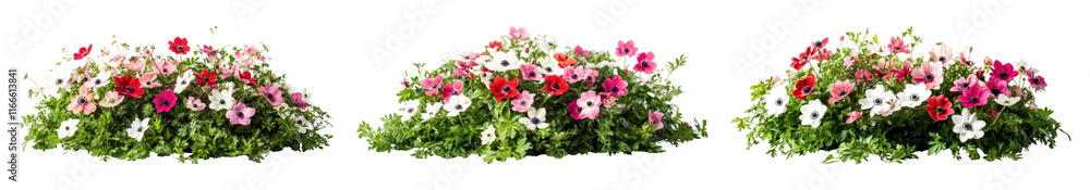 PNG Flowers bush, isolated element set, transparent background PNG Flowers bush, isolated element set, transparent background
