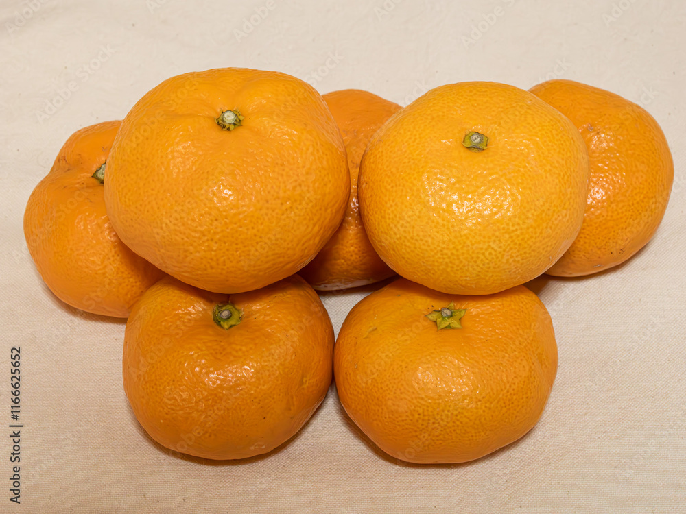 温州みかん。日本 静岡県産。
2024年12月。
Citrus unshiu. Grown in Shizuoka, Japan.
December 2024. 温州みかん。日本 静岡県産。
2024年12月。
Citrus unshiu. Grown in Shizuoka, Japan.
December 2024.