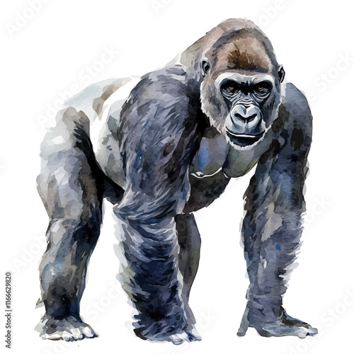 A watercolor vector painting of a gorilla, isolated on a white background. Gorilla vector.

