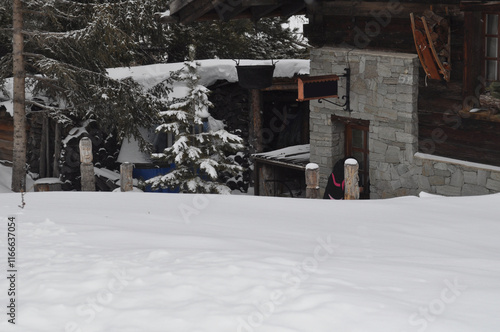 Wallpaper Mural A snowy mountain in the background of village houses in the winter months. A perfect place to relax in the winter. Winter tourism. Torontodigital.ca