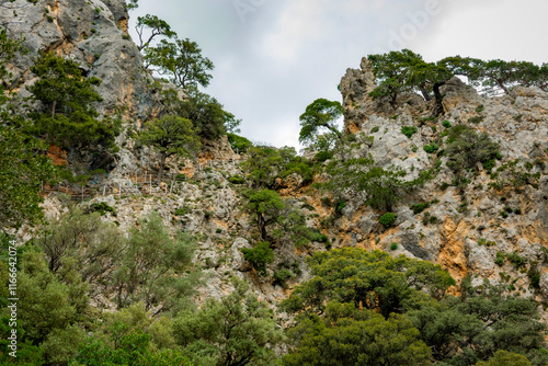 Crete, Greece, mountains, beach, water, sea, holidays, trip, holiday, sun, sky, forest, rocks, trekking, beach, sea, water, rest, vacation, holiday,