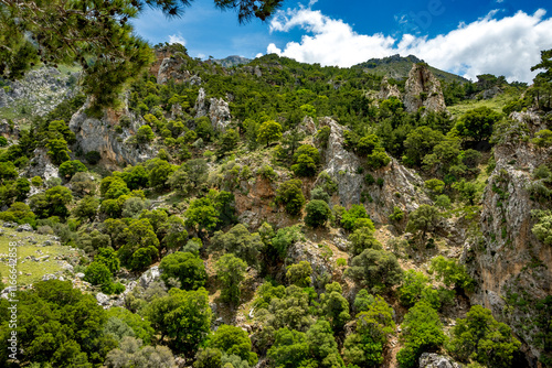 Crete, Greece, mountains, beach, water, sea, holidays, trip, holiday, sun, sky, forest, rocks, trekking, beach, sea, water, rest, vacation, holiday,