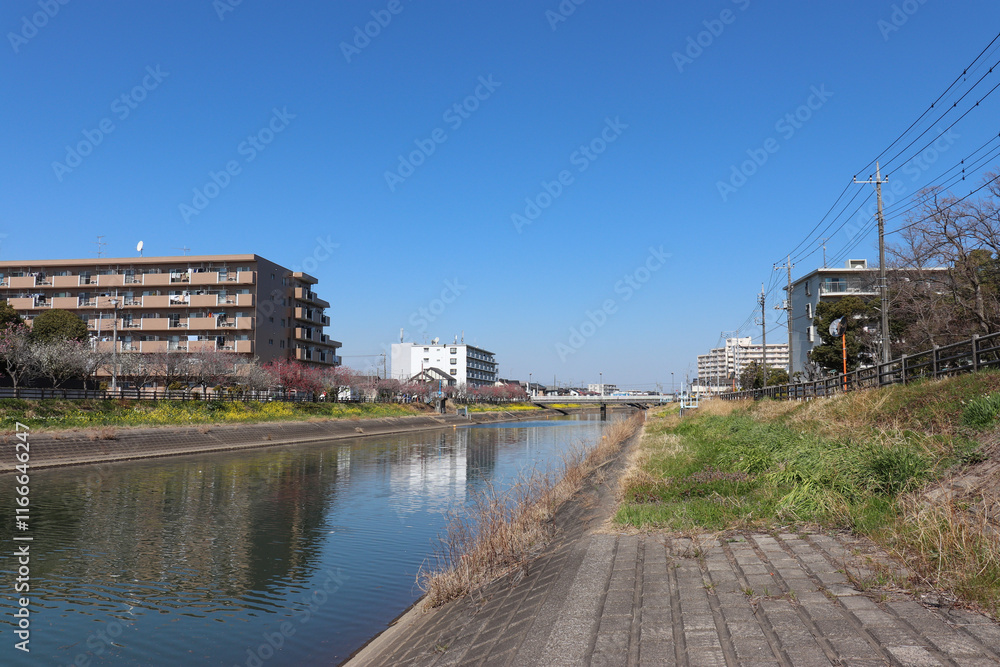 Fototapeta premium 坂川（千葉県松戸市）