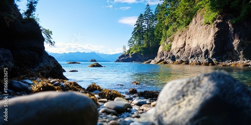 professional photo of coastal habitat photo